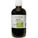 Avena Sativa Hrb/Haver  Cru