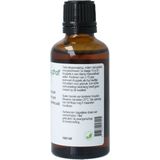 Tanacetum parthenium - Moederkruid Tinctuur - 100 gram - Voedingssupplement