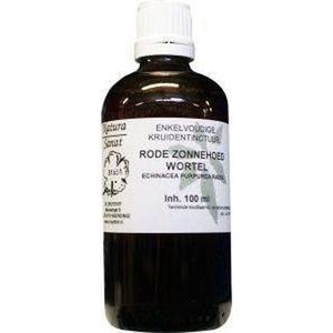 Echinacea purpurea - Tinctuur - 100 gram - Voedingssupplement