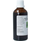 Equisetum Arv/Akkerpaardest Cr