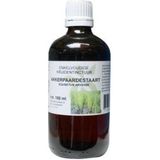 Equisetum Arv/Akkerpaardest Cr