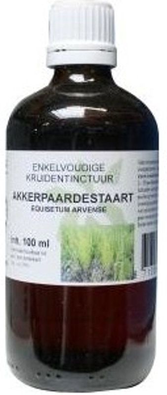 Equisetum Arv/Akkerpaardest Cr