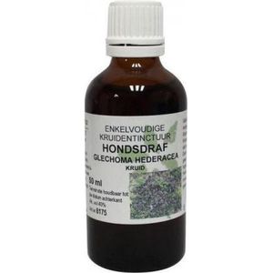 Natura Sanat - Glechoma hederacea - Kruidenpreparaat - Biologisch - 2-3 ml water-alcohol extract