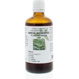 Natura Sanat Plantago major / brede weegbree 100ml