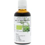 Natura Sanat Plantago lanc / smalle weegbree bio 50ml