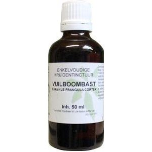 Natura Sanat Vuilboombast tinctuur bio 100ml
