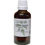 Sambucus Nigra Flor Vlierbl Cr