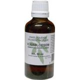 Sambucus Nigra Flor Vlierbl Cr