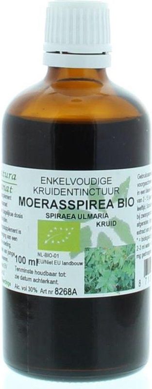 Spiraea Ulm Hrb/Moerasspirea