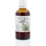 Thymus Vulg Hrb/Thijm  Cru