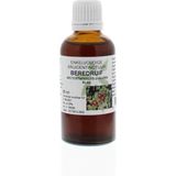 Natura Sanat - Arctostaphylus uva ursi - Tinctuur - 100 gram gedroogd blad