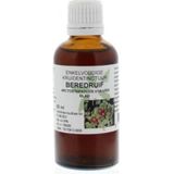 Natura Sanat - Arctostaphylus uva ursi - Tinctuur - 100 gram gedroogd blad