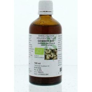 Zingiber officinalis - Gember Tinctuur - Bio - 100 gram gedroogde wortelstokken