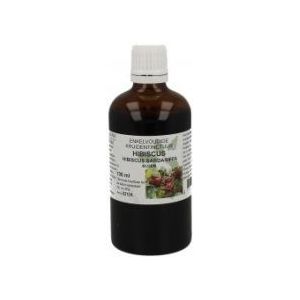 Hibiscus - Tinctuur - 100 gram - Voedingssupplement - Water-alcohol extract van Hibiscus bloemen
