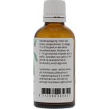 Scutellaria Blauw Glidkr  Cru