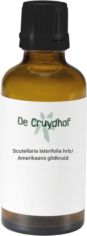 Scutellaria Blauw Glidkr  Cru