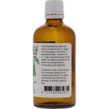 Scutellaria Blauw Glidkr  Cru