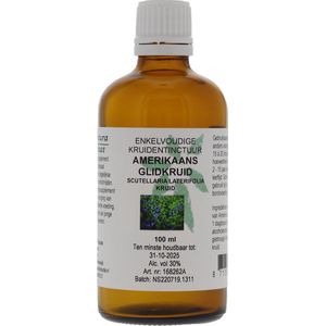 Scutellaria Blauw Glidkr  Cru