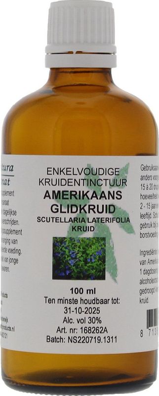 Scutellaria Blauw Glidkr  Cru