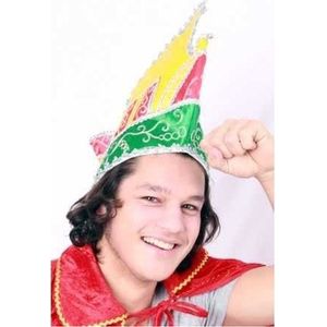 Prins Carnaval muts - heren - multi - Prinsenmuts - luxe Prinsensteek
