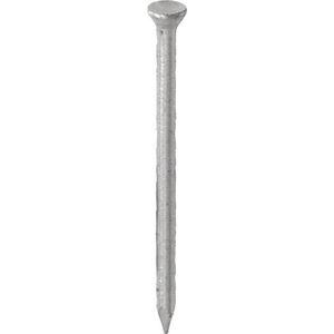 Stalen nagels 65mm (100 Stuks)