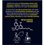 Lucovitaal Hennep CBD Thee Voedingssupplement - 20 Zakjes
