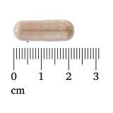 Lucovitaal - Urilady - Capsules - 60 Stuks - Ondersteuning Urinewegfunctie