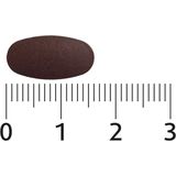 Lucovitaal - Bloedcirculatie Support - Tabletten - 60 stuks