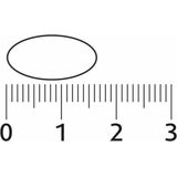 Vetzurenpreparaat - Omega-3 Capsules - DHA uit Microalgen - 250 mg