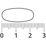 Lucovitaal Multi Vrouw Compleet 50+ Met Ginkgo Biloba 40 capsules