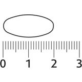 Lucovitaal - Zuur Base Balans - Tabletjes - Maagsapresistent - 60 Stuks