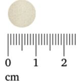 Lucovitaal Zwarte Knoflook 30 tabletten