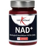 Lucovitaal - NAD+ - 30 Capsules - Multivitaminen