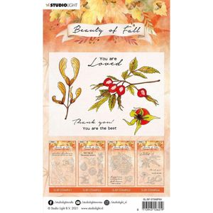 Sl-bf-stamp64 Studio Light Stempel A6 Beauty of fall - Rozenbottel