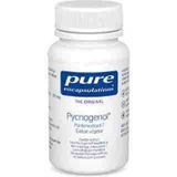 Pure Encapsulations Pycnogenol Capsule 60  -  Nestle