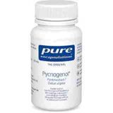 Pure Encapsulations - Pycnogenol - Antioxidant - 50 mg - Vrij van Lactose Fructose Gluten