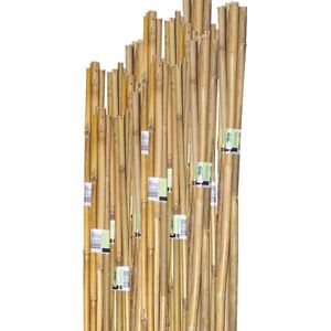 Meuwissen Agro Tonkinstokken - Bamboestokken - Plantensteunen - 6-8 mm - 60 cm - 10 stuks