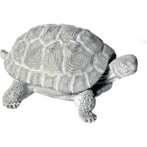 Mega Collections tuinbeeld schildpad grijs 20 x 14,5 x 10 cm