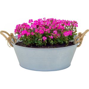 Plantenpot/bloempot teil Old Rope - rond - zink - zilver - D40 X H14 cm - IJzeren emmer / teil