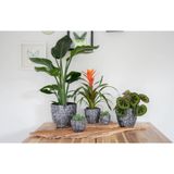 Mega Collections Plantenpot/bloempot - keramiek - antraciet grijs/zilver - D22.5 x H21 cm