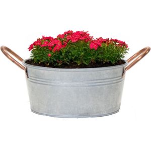 Mega Collections Teil/plantenpot/bloempot Jean - zink - zilver - D27 X H13 cm