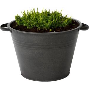 Plantenpot/bloempot Farmer - rond - zink - zwart - D40 X H29 cm - IJzeren emmer / teil