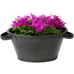 Mega Collections Teil Bloempot/plantenpot - zink - zwart - rond - D40 x H14 cm
