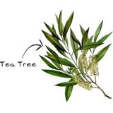 Tea Tree - Etherische Olie - 100ml - Biologisch