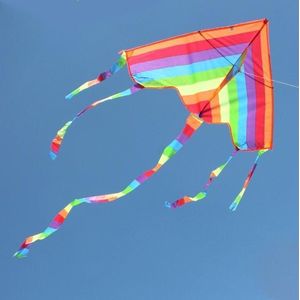 Apeirom Vlieger Multicolor - Maat 1.07 Breed en 0.56 Meter Hoog - Feel The Wind!