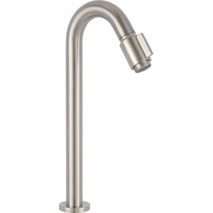 Saqu Essential 2.0 Fonteinkraan - 20 cm Hoge Uitloop - Geborsteld Staal - Toiletkraan - Koudwaterkraan - WC kraan