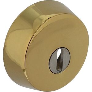 Intersteel | Veiligheidsrozet voor oplegsloten met kerntrekbeveiliging | SKG3 | Messing PVD