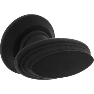 Intersteel Knopkruk rand met rozet zwart