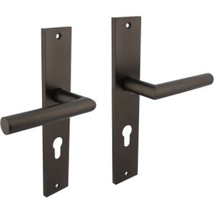 Intersteel Deurkruk Bastian op schild 245x45 mm profielcilindergat 72 mm antracietgrijs PC72