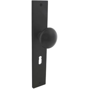 Intersteel Knop op rechthoekig schild met sleutelgat SL56 mat zwart SL56